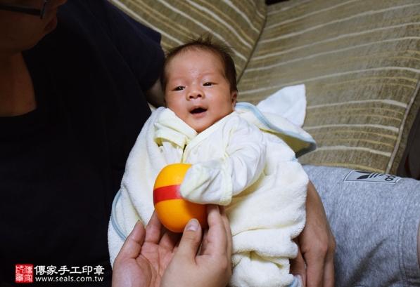 剃胎毛、滿月剃頭、嬰兒剃頭、嬰兒理髮、嬰兒剃髮、嬰兒剃胎毛、嬰兒滿月剃頭、寶寶剃頭、剃胎毛儀式、剃胎毛吉祥話、滿月剃頭儀式、滿月剃頭吉祥話、寶寶剃胎毛、寶寶滿月剃頭理髮、 新北三重區剃胎毛、新北三重區滿月剃頭、 新北三重區嬰兒剃頭剃胎毛、新北三重區嬰兒理髮、新北三重區嬰兒剃髮、李寶寶(新北三重區到府嬰兒寶寶滿月剃頭理髮、免費到府嬰兒剃胎毛儀式吉祥話)。到府剃頭剃胎毛主持、專業拍照、DVD光碟、證書。★購買「臍帶章、肚臍章、胎毛筆刷印章」贈送：剃頭、收涎、抓周，三選一。2016.04.27  照片9