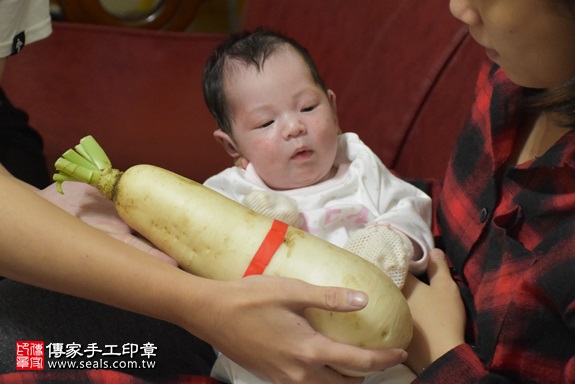 剃胎毛、滿月剃頭、嬰兒剃頭、嬰兒理髮、嬰兒剃髮、嬰兒剃胎毛、嬰兒滿月剃頭、寶寶剃頭、剃胎毛儀式、剃胎毛吉祥話、滿月剃頭儀式、滿月剃頭吉祥話、寶寶剃胎毛、寶寶滿月剃頭理髮、 新北市新莊地區剃胎毛、新北市新莊地區滿月剃頭、新北市新莊地區嬰兒剃頭剃胎毛、新北市新莊地區嬰兒理髮、新北市嬰兒剃髮、楊寶寶(新北新莊區到府嬰兒寶寶滿月剃頭理髮、免費到府嬰兒剃胎毛儀式吉祥話)。到府剃頭剃胎毛主持、專業拍照、DVD光碟、證書。★購買「臍帶章、肚臍章、胎毛筆刷印章」贈送：剃頭、收涎、抓周，三選一。2017.11.27照片8