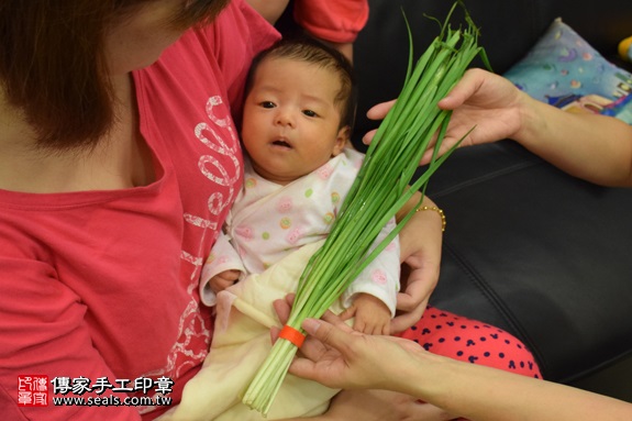 剃胎毛、滿月剃頭、嬰兒剃頭、嬰兒理髮、嬰兒剃髮、嬰兒剃胎毛、嬰兒滿月剃頭、寶寶剃頭、剃胎毛儀式、剃胎毛吉祥話、滿月剃頭儀式、滿月剃頭吉祥話、寶寶剃胎毛、寶寶滿月剃頭理髮、 新北市蘆洲地區剃胎毛、新北市蘆洲地區滿月剃頭、新北市蘆洲地區嬰兒剃頭剃胎毛、新北市蘆洲地區嬰兒理髮、新北市嬰兒剃髮、陳寶寶(新北蘆洲區到府嬰兒寶寶滿月剃頭理髮、免費到府嬰兒剃胎毛儀式吉祥話)。到府剃頭剃胎毛主持、專業拍照、DVD光碟、證書。★購買「臍帶章、肚臍章、胎毛筆刷印章」贈送：剃頭、收涎、抓周，三選一。2017.09.03照片11