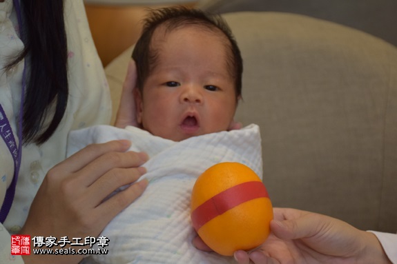 剃胎毛、滿月剃頭、嬰兒剃頭、嬰兒理髮、嬰兒剃髮、嬰兒剃胎毛、嬰兒滿月剃頭、寶寶剃頭、剃胎毛儀式、剃胎毛吉祥話、滿月剃頭儀式、滿月剃頭吉祥話、寶寶剃胎毛、寶寶滿月剃頭理髮、 新北市三重地區剃胎毛、新北市三重地區滿月剃頭、新北市三重地區嬰兒剃頭剃胎毛、新北市三重地區嬰兒理髮、新北市嬰兒剃髮、張寶寶(新北三重區到府嬰兒寶寶滿月剃頭理髮、免費到府嬰兒剃胎毛儀式吉祥話)。到府剃頭剃胎毛主持、專業拍照、DVD光碟、證書。★購買「臍帶章、肚臍章、胎毛筆刷印章」贈送：剃頭、收涎、抓周，三選一。2017.09.09照片6