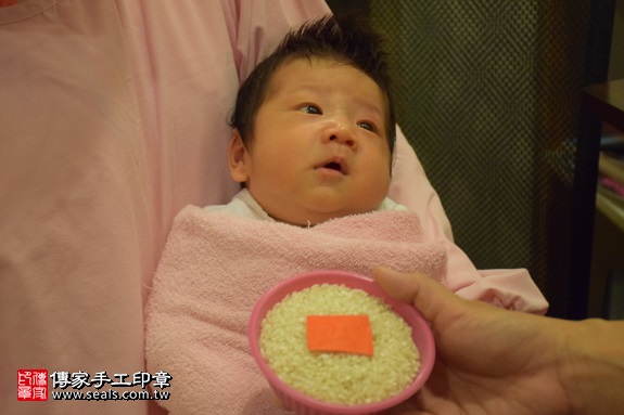 剃胎毛、滿月剃頭、嬰兒剃頭、嬰兒理髮、嬰兒剃髮、嬰兒剃胎毛、嬰兒滿月剃頭、寶寶剃頭、剃胎毛儀式、剃胎毛吉祥話、滿月剃頭儀式、滿月剃頭吉祥話、寶寶剃胎毛、寶寶滿月剃頭理髮、 新北市中和地區剃胎毛、新北市中和地區滿月剃頭、新北市中和地區嬰兒剃頭剃胎毛、新北市中和地區嬰兒理髮、新北市嬰兒剃髮、 江寶寶(新北中和區到府嬰兒寶寶滿月剃頭理髮、免費到府嬰兒剃胎毛儀式吉祥話)。到府剃頭剃胎毛主持、專業拍照、DVD光碟、證書。★購買「臍帶章、肚臍章、胎毛筆刷印章」贈送：剃頭、收涎、抓周，三選一。2017.09.10照片6