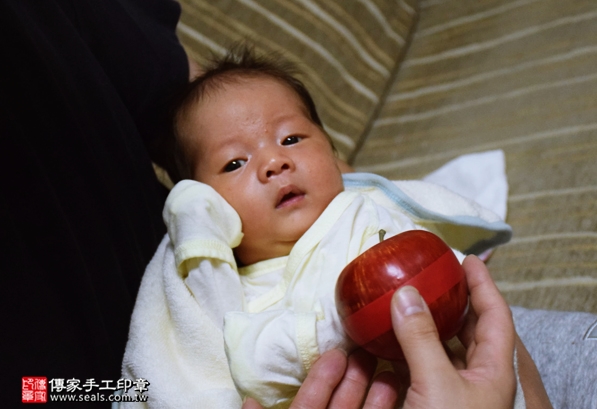 剃胎毛、滿月剃頭、嬰兒剃頭、嬰兒理髮、嬰兒剃髮、嬰兒剃胎毛、嬰兒滿月剃頭、寶寶剃頭、剃胎毛儀式、剃胎毛吉祥話、滿月剃頭儀式、滿月剃頭吉祥話、寶寶剃胎毛、寶寶滿月剃頭理髮、 新北三重區剃胎毛、新北三重區滿月剃頭、 新北三重區嬰兒剃頭剃胎毛、新北三重區嬰兒理髮、新北三重區嬰兒剃髮、李寶寶(新北三重區到府嬰兒寶寶滿月剃頭理髮、免費到府嬰兒剃胎毛儀式吉祥話)。到府剃頭剃胎毛主持、專業拍照、DVD光碟、證書。★購買「臍帶章、肚臍章、胎毛筆刷印章」贈送：剃頭、收涎、抓周，三選一。2016.04.27  照片8