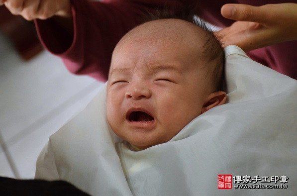 剃胎毛、滿月剃頭、嬰兒剃頭、嬰兒理髮、嬰兒剃髮、嬰兒剃胎毛、嬰兒滿月剃頭、寶寶剃頭、剃胎毛儀式、剃胎毛吉祥話、滿月剃頭儀式、滿月剃頭吉祥話、寶寶剃胎毛、寶寶滿月剃頭理髮、 台中烏日區剃胎毛、台中烏日區滿月剃頭、 台中烏日區嬰兒剃頭剃胎毛、台中烏日區嬰兒理髮、台中烏日區嬰兒剃髮、游寶寶(台中烏日區到府嬰兒寶寶滿月剃頭理髮、免費到府嬰兒剃胎毛儀式吉祥話)。到府剃頭剃胎毛主持、專業拍照、DVD光碟、證書。★購買「臍帶章、肚臍章、胎毛筆刷印章」贈送：剃頭、收涎、抓周，三選一。2016.02.15 照片14