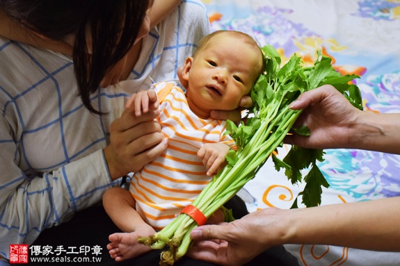 剃胎毛、滿月剃頭、嬰兒剃頭、嬰兒理髮、嬰兒剃髮、嬰兒剃胎毛、嬰兒滿月剃頭、寶寶剃頭、剃胎毛儀式、剃胎毛吉祥話、滿月剃頭儀式、滿月剃頭吉祥話、寶寶剃胎毛、寶寶滿月剃頭理髮、 新北新莊區剃胎毛、新北新莊區滿月剃頭、 新北新莊區嬰兒剃頭剃胎毛、新北新莊區嬰兒理髮、新北新莊區嬰兒剃髮、郭寶寶(新北新莊區到府嬰兒寶寶滿月剃頭理髮、免費到府嬰兒剃胎毛儀式吉祥話)。到府剃頭剃胎毛主持、專業拍照、DVD光碟、證書。★購買「臍帶章、肚臍章、胎毛筆刷印章」贈送：剃頭、收涎、抓周，三選一。2016.09.26  照片11