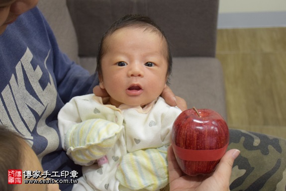 剃胎毛、滿月剃頭、嬰兒剃頭、嬰兒理髮、嬰兒剃髮、嬰兒剃胎毛、嬰兒滿月剃頭、寶寶剃頭、剃胎毛儀式、剃胎毛吉祥話、滿月剃頭儀式、滿月剃頭吉祥話、寶寶剃胎毛、寶寶滿月剃頭理髮、 新北市中和地區剃胎毛、新北市中和地區滿月剃頭、新北市中和地區嬰兒剃頭剃胎毛、新北市中和地區嬰兒理髮新北市嬰兒剃髮、張寶寶(新北中和區到府嬰兒寶寶滿月剃頭理髮、免費到府嬰兒剃胎毛儀式吉祥話)。到府剃頭剃胎毛主持、專業拍照、DVD光碟、證書。★購買「臍帶章、肚臍章、胎毛筆刷印章」贈送：剃頭、收涎、抓周，三選一。2017.12.20照片8