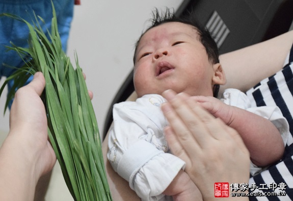 剃胎毛、滿月剃頭、嬰兒剃頭、嬰兒理髮、嬰兒剃髮、嬰兒剃胎毛、嬰兒滿月剃頭、寶寶剃頭、剃胎毛儀式、剃胎毛吉祥話、滿月剃頭儀式、滿月剃頭吉祥話、寶寶剃胎毛、寶寶滿月剃頭理髮、 新北永和區剃胎毛、新北永和區滿月剃頭、 新北永和區嬰兒剃頭剃胎毛、新北永和區嬰兒理髮、新北永和區嬰兒剃髮、弟弟(新北永和區到府嬰兒寶寶滿月剃頭理髮、免費到府嬰兒剃胎毛儀式吉祥話)。到府剃頭剃胎毛主持、專業拍照、DVD光碟、證書。★購買「臍帶章、肚臍章、胎毛筆刷印章」贈送：剃頭、收涎、抓周，三選一。2016.05.15  照片12