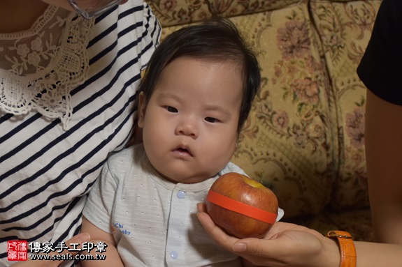 剃胎毛、滿月剃頭、嬰兒剃頭、嬰兒理髮、嬰兒剃髮、嬰兒剃胎毛、嬰兒滿月剃頭、寶寶剃頭、剃胎毛儀式、剃胎毛吉祥話、滿月剃頭儀式、滿月剃頭吉祥話、寶寶剃胎毛、寶寶滿月剃頭理髮、 新北市淡水地區剃胎毛、新北市淡水地區滿月剃頭、新北市淡水地區嬰兒剃頭剃胎毛、新北市淡水地區嬰兒理髮、新北市嬰兒剃髮、何寶寶(新北淡水區到府嬰兒寶寶滿月剃頭理髮、免費到府嬰兒剃胎毛儀式吉祥話)。到府剃頭剃胎毛主持、專業拍照、DVD光碟、證書。★購買「臍帶章、肚臍章、胎毛筆刷印章」贈送：剃頭、收涎、抓周，三選一。2017.09.24照片8