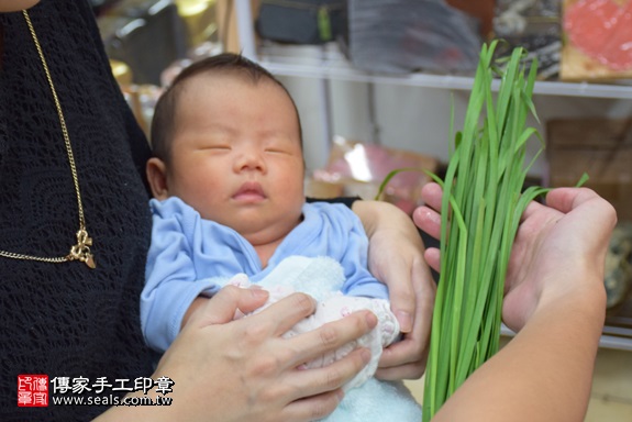 剃胎毛、滿月剃頭、嬰兒剃頭、嬰兒理髮、嬰兒剃髮、嬰兒剃胎毛、嬰兒滿月剃頭、寶寶剃頭、剃胎毛儀式、剃胎毛吉祥話、滿月剃頭儀式、滿月剃頭吉祥話、寶寶剃胎毛、寶寶滿月剃頭理髮、 新北市永和地區剃胎毛、新北市永和地區滿月剃頭、新北市永和地區嬰兒剃頭剃胎毛、新北市永和地區嬰兒理髮、新北市嬰兒剃髮、王寶寶(新北永和區嬰兒寶寶滿月剃頭理髮、免費嬰兒剃胎毛儀式吉祥話)。中國風會場，爸媽寶貝免費穿「日中韓」古裝禮服。專業拍照、DVD光碟、證書。★購買「臍帶章、肚臍章、胎毛筆刷印章」贈送：剃頭、收涎、抓周，三選一。2017.11.18照片12