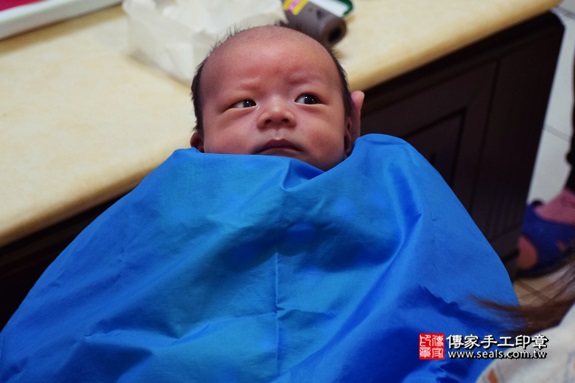 剃胎毛、滿月剃頭、嬰兒剃頭、嬰兒理髮、嬰兒剃髮、嬰兒剃胎毛、嬰兒滿月剃頭、寶寶剃頭、剃胎毛儀式、剃胎毛吉祥話、滿月剃頭儀式、滿月剃頭吉祥話、寶寶剃胎毛、寶寶滿月剃頭理髮、 台中大甲區剃胎毛、台中大甲區滿月剃頭、 台中大甲區嬰兒剃頭剃胎毛、台中大甲區嬰兒理髮、台中大甲區嬰兒剃髮、李寶寶(台中大甲區到府嬰兒寶寶滿月剃頭理髮、免費到府嬰兒剃胎毛儀式吉祥話)。到府剃頭剃胎毛主持、專業拍照、DVD光碟、證書。★購買「臍帶章、肚臍章、胎毛筆刷印章」贈送：剃頭、收涎、抓周，三選一。2016.12.17  照片16