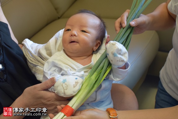 剃胎毛、滿月剃頭、嬰兒剃頭、嬰兒理髮、嬰兒剃髮、嬰兒剃胎毛、嬰兒滿月剃頭、寶寶剃頭、剃胎毛儀式、剃胎毛吉祥話、滿月剃頭儀式、滿月剃頭吉祥話、寶寶剃胎毛、寶寶滿月剃頭理髮、 新北市中和地區剃胎毛、新北市中和地區滿月剃頭、新北市中和地區嬰兒剃頭剃胎毛、新北市中和地區嬰兒理髮、新北市嬰兒剃髮、俞寶寶(新北中和區到府嬰兒寶寶滿月剃頭理髮、免費到府嬰兒剃胎毛儀式吉祥話)。到府剃頭剃胎毛主持、專業拍照、DVD光碟、證書。★購買「臍帶章、肚臍章、胎毛筆刷印章」贈送：剃頭、收涎、抓周，三選一。2017.09.26照片11