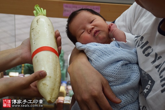 剃胎毛、滿月剃頭、嬰兒剃頭、嬰兒理髮、嬰兒剃髮、嬰兒剃胎毛、嬰兒滿月剃頭、寶寶剃頭、剃胎毛儀式、剃胎毛吉祥話、滿月剃頭儀式、滿月剃頭吉祥話、寶寶剃胎毛、寶寶滿月剃頭理髮、新北永和區剃胎毛、新北永和區滿月剃頭、新北永和區嬰兒剃頭剃胎毛、新北永和區嬰兒理髮、新北永和區嬰兒剃髮、盧寶寶(新北永和區嬰兒寶寶滿月剃頭理髮、免費嬰兒剃胎毛儀式吉祥話)。中國風會場，爸媽寶貝免費穿「日中韓」古裝禮服。專業拍照、DVD光碟、證書。★購買「臍帶章、肚臍章、胎毛筆刷印章」贈送：剃頭、收涎、抓周，三選一。2016.11.14 照片13