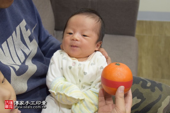 剃胎毛、滿月剃頭、嬰兒剃頭、嬰兒理髮、嬰兒剃髮、嬰兒剃胎毛、嬰兒滿月剃頭、寶寶剃頭、剃胎毛儀式、剃胎毛吉祥話、滿月剃頭儀式、滿月剃頭吉祥話、寶寶剃胎毛、寶寶滿月剃頭理髮、 新北市中和地區剃胎毛、新北市中和地區滿月剃頭、新北市中和地區嬰兒剃頭剃胎毛、新北市中和地區嬰兒理髮新北市嬰兒剃髮、張寶寶(新北中和區到府嬰兒寶寶滿月剃頭理髮、免費到府嬰兒剃胎毛儀式吉祥話)。到府剃頭剃胎毛主持、專業拍照、DVD光碟、證書。★購買「臍帶章、肚臍章、胎毛筆刷印章」贈送：剃頭、收涎、抓周，三選一。2017.12.20照片9