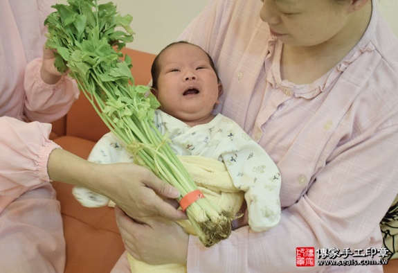 剃胎毛、滿月剃頭、嬰兒剃頭、嬰兒理髮、嬰兒剃髮、嬰兒剃胎毛、嬰兒滿月剃頭、寶寶剃頭、剃胎毛儀式、剃胎毛吉祥話、滿月剃頭儀式、滿月剃頭吉祥話、寶寶剃胎毛、寶寶滿月剃頭理髮、 新北新莊區剃胎毛、新北新莊區滿月剃頭、 新北新莊區嬰兒剃頭剃胎毛、新北新莊區嬰兒理髮、新北新莊區嬰兒剃髮、高寶寶(新北新莊區到府嬰兒寶寶滿月剃頭理髮、免費到府嬰兒剃胎毛儀式吉祥話)。到府剃頭剃胎毛主持、專業拍照、DVD光碟、證書。★購買「臍帶章、肚臍章、胎毛筆刷印章」贈送：剃頭、收涎、抓周，三選一。2016.08.28  照片11