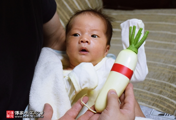 剃胎毛、滿月剃頭、嬰兒剃頭、嬰兒理髮、嬰兒剃髮、嬰兒剃胎毛、嬰兒滿月剃頭、寶寶剃頭、剃胎毛儀式、剃胎毛吉祥話、滿月剃頭儀式、滿月剃頭吉祥話、寶寶剃胎毛、寶寶滿月剃頭理髮、 新北三重區剃胎毛、新北三重區滿月剃頭、 新北三重區嬰兒剃頭剃胎毛、新北三重區嬰兒理髮、新北三重區嬰兒剃髮、李寶寶(新北三重區到府嬰兒寶寶滿月剃頭理髮、免費到府嬰兒剃胎毛儀式吉祥話)。到府剃頭剃胎毛主持、專業拍照、DVD光碟、證書。★購買「臍帶章、肚臍章、胎毛筆刷印章」贈送：剃頭、收涎、抓周，三選一。2016.04.27  照片11
