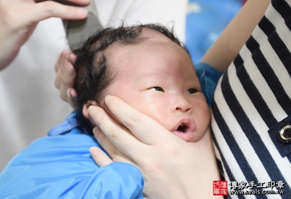 剃胎毛、滿月剃頭、嬰兒剃頭、嬰兒理髮、嬰兒剃髮、嬰兒剃胎毛、嬰兒滿月剃頭、寶寶剃頭、剃胎毛儀式、剃胎毛吉祥話、滿月剃頭儀式、滿月剃頭吉祥話、寶寶剃胎毛、寶寶滿月剃頭理髮、 新北永和區剃胎毛、新北永和區滿月剃頭、 新北永和區嬰兒剃頭剃胎毛、新北永和區嬰兒理髮、新北永和區嬰兒剃髮、弟弟(新北永和區到府嬰兒寶寶滿月剃頭理髮、免費到府嬰兒剃胎毛儀式吉祥話)。到府剃頭剃胎毛主持、專業拍照、DVD光碟、證書。★購買「臍帶章、肚臍章、胎毛筆刷印章」贈送：剃頭、收涎、抓周，三選一。2016.05.15  照片14
