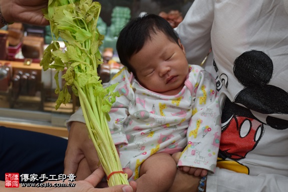 剃胎毛、滿月剃頭、嬰兒剃頭、嬰兒理髮、嬰兒剃髮、嬰兒剃胎毛、嬰兒滿月剃頭、寶寶剃頭、剃胎毛儀式、剃胎毛吉祥話、滿月剃頭儀式、滿月剃頭吉祥話、寶寶剃胎毛、寶寶滿月剃頭理髮、新北永和區剃胎毛、新北永和區滿月剃頭、新北永和區嬰兒剃頭剃胎毛、新北永和區嬰兒理髮、新北永和區嬰兒剃髮、陳寶寶(新北永和區嬰兒寶寶滿月剃頭理髮、免費嬰兒剃胎毛儀式吉祥話)。中國風會場，爸媽寶貝免費穿「日中韓」古裝禮服。專業拍照、DVD光碟、證書。★購買「臍帶章、肚臍章、胎毛筆刷印章」贈送：剃頭、收涎、抓周，三選一。2016.11.03 照片11