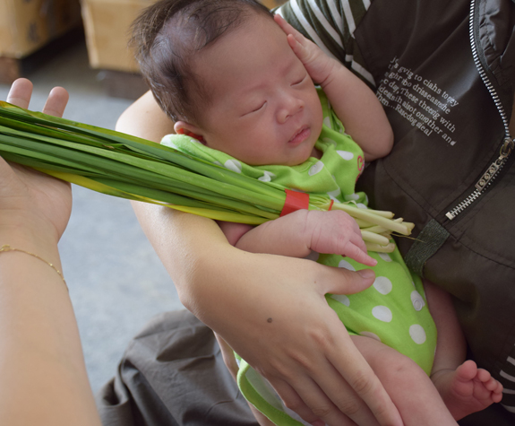 詹妹妹(南投草屯到府嬰兒寶寶滿月剃頭理髮、免費到府嬰兒剃胎毛儀式吉祥話)。到府剃頭剃胎毛主持、專業拍照、DVD光碟、證書。★購買「臍帶章、肚臍章、胎毛筆刷印章」贈送：剃頭、收涎、抓周，三選一。2015.07.31 照片11