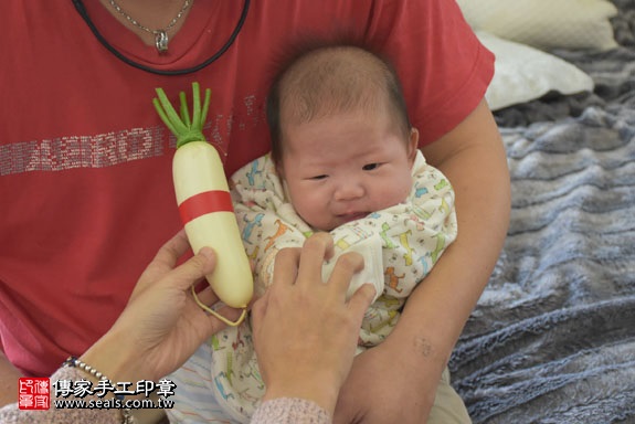 剃胎毛、滿月剃頭、嬰兒剃頭、嬰兒理髮、嬰兒剃髮、嬰兒剃胎毛、嬰兒滿月剃頭、寶寶剃頭、剃胎毛儀式、剃胎毛吉祥話、滿月剃頭儀式、滿月剃頭吉祥話、寶寶剃胎毛、寶寶滿月剃頭理髮、新北永和區剃胎毛、新北永和區滿月剃頭、新北永和區嬰兒剃頭剃胎毛、新北永和區嬰兒理髮、新北永和區嬰兒剃髮、詹寶寶(新北永和區嬰兒寶寶滿月剃頭理髮、免費嬰兒剃胎毛儀式吉祥話)。中國風會場，爸媽寶貝免費穿「日中韓」古裝禮服。專業拍照、DVD光碟、證書。★購買「臍帶章、肚臍章、胎毛筆刷印章」贈送：剃頭、收涎、抓周，三選一。2017.02.06 照片12