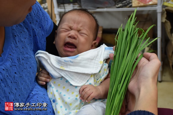 剃胎毛、滿月剃頭、嬰兒剃頭、嬰兒理髮、嬰兒剃髮、嬰兒剃胎毛、嬰兒滿月剃頭、寶寶剃頭、剃胎毛儀式、剃胎毛吉祥話、滿月剃頭儀式、滿月剃頭吉祥話、寶寶剃胎毛、寶寶滿月剃頭理髮、 新北市永和地區剃胎毛、新北市永和地區滿月剃頭、新北市永和地區嬰兒剃頭剃胎毛、新北市永和地區嬰兒理髮、新北市嬰兒剃髮、劉寶寶(新北永和區嬰兒寶寶滿月剃頭理髮、免費嬰兒剃胎毛儀式吉祥話)。中國風會場，爸媽寶貝免費穿「日中韓」古裝禮服。專業拍照、DVD光碟、證書。★購買「臍帶章、肚臍章、胎毛筆刷印章」贈送：剃頭、收涎、抓周，三選一。2017.11.05照片10