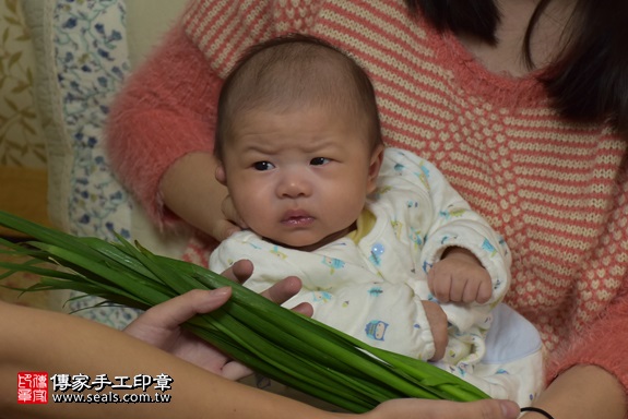 剃胎毛、滿月剃頭、嬰兒剃頭、嬰兒理髮、嬰兒剃髮、嬰兒剃胎毛、嬰兒滿月剃頭、寶寶剃頭、剃胎毛儀式、剃胎毛吉祥話、滿月剃頭儀式、滿月剃頭吉祥話、寶寶剃胎毛、寶寶滿月剃頭理髮、 桃園市楊梅地區剃胎毛、桃園市楊梅地區滿月剃頭、桃園市楊梅地區嬰兒剃頭剃胎毛、桃園市楊梅地區嬰兒理髮、桃園市嬰兒剃髮、卓寶寶(桃園楊梅區到府嬰兒寶寶滿月剃頭理髮、免費到府嬰兒剃胎毛儀式吉祥話)。到府剃頭剃胎毛主持、專業拍照、DVD光碟、證書。★購買「臍帶章、肚臍章、胎毛筆刷印章」贈送：剃頭、收涎、抓周，三選一。2017.11.27照片12