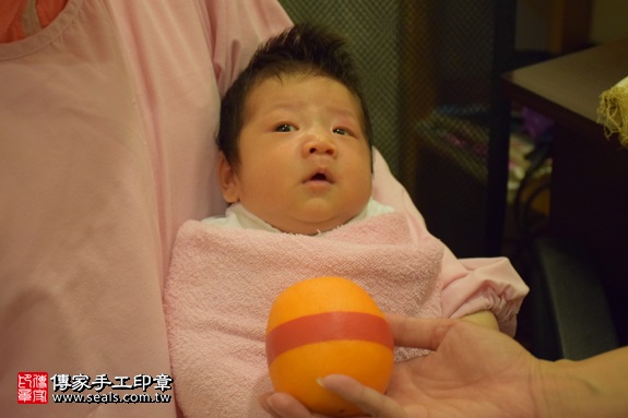 剃胎毛、滿月剃頭、嬰兒剃頭、嬰兒理髮、嬰兒剃髮、嬰兒剃胎毛、嬰兒滿月剃頭、寶寶剃頭、剃胎毛儀式、剃胎毛吉祥話、滿月剃頭儀式、滿月剃頭吉祥話、寶寶剃胎毛、寶寶滿月剃頭理髮、 新北市中和地區剃胎毛、新北市中和地區滿月剃頭、新北市中和地區嬰兒剃頭剃胎毛、新北市中和地區嬰兒理髮、新北市嬰兒剃髮、 江寶寶(新北中和區到府嬰兒寶寶滿月剃頭理髮、免費到府嬰兒剃胎毛儀式吉祥話)。到府剃頭剃胎毛主持、專業拍照、DVD光碟、證書。★購買「臍帶章、肚臍章、胎毛筆刷印章」贈送：剃頭、收涎、抓周，三選一。2017.09.10照片8