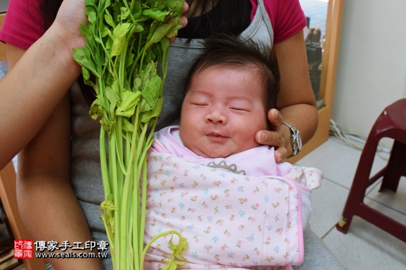 剃胎毛、滿月剃頭、嬰兒剃頭、嬰兒理髮、嬰兒剃髮、嬰兒剃胎毛、嬰兒滿月剃頭、寶寶剃頭、剃胎毛儀式、剃胎毛吉祥話、滿月剃頭儀式、滿月剃頭吉祥話、寶寶剃胎毛、寶寶滿月剃頭理髮、新竹香山區剃胎毛、新竹香山區滿月剃頭、新竹香山區嬰兒剃頭剃胎毛、新竹香山區嬰兒理髮、新竹香山區嬰兒剃髮、陳寶寶(新竹香山區嬰兒寶寶滿月剃頭理髮、免費嬰兒剃胎毛儀式吉祥話)。中國風會場，爸媽寶貝免費穿「日中韓」古裝禮服。專業拍照、DVD光碟、證書。★購買「臍帶章、肚臍章、胎毛筆刷印章」贈送：剃頭、收涎、抓周，三選一。2016.09.24  照片11