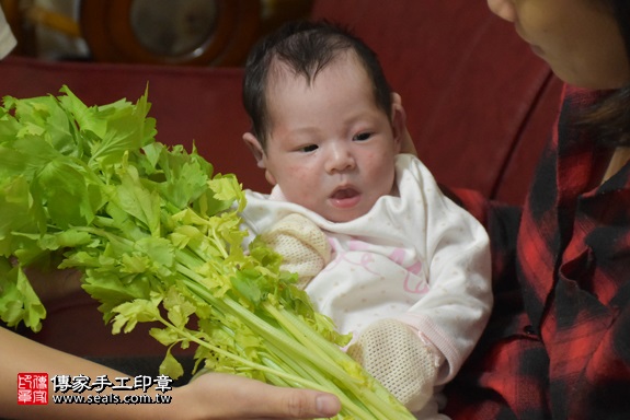 剃胎毛、滿月剃頭、嬰兒剃頭、嬰兒理髮、嬰兒剃髮、嬰兒剃胎毛、嬰兒滿月剃頭、寶寶剃頭、剃胎毛儀式、剃胎毛吉祥話、滿月剃頭儀式、滿月剃頭吉祥話、寶寶剃胎毛、寶寶滿月剃頭理髮、 新北市新莊地區剃胎毛、新北市新莊地區滿月剃頭、新北市新莊地區嬰兒剃頭剃胎毛、新北市新莊地區嬰兒理髮、新北市嬰兒剃髮、楊寶寶(新北新莊區到府嬰兒寶寶滿月剃頭理髮、免費到府嬰兒剃胎毛儀式吉祥話)。到府剃頭剃胎毛主持、專業拍照、DVD光碟、證書。★購買「臍帶章、肚臍章、胎毛筆刷印章」贈送：剃頭、收涎、抓周，三選一。2017.11.27照片11