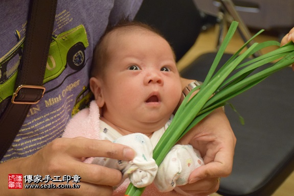 剃胎毛、滿月剃頭、嬰兒剃頭、嬰兒理髮、嬰兒剃髮、嬰兒剃胎毛、嬰兒滿月剃頭、寶寶剃頭、剃胎毛儀式、剃胎毛吉祥話、滿月剃頭儀式、滿月剃頭吉祥話、寶寶剃胎毛、寶寶滿月剃頭理髮、 新北市板橋地區剃胎毛、新北市板橋地區滿月剃頭、新北市板橋地區嬰兒剃頭剃胎毛、新北市板橋地區嬰兒理髮、新北市嬰兒剃髮、潘寶寶(新北板橋區到府嬰兒寶寶滿月剃頭理髮、免費到府嬰兒剃胎毛儀式吉祥話)。到府剃頭剃胎毛主持、專業拍照、DVD光碟、證書。★購買「臍帶章、肚臍章、胎毛筆刷印章」贈送：剃頭、收涎、抓周，三選一。2017.09.28照片14