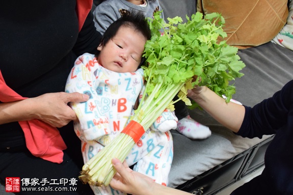 剃胎毛、滿月剃頭、嬰兒剃頭、嬰兒理髮、嬰兒剃髮、嬰兒剃胎毛、嬰兒滿月剃頭、寶寶剃頭、剃胎毛儀式、剃胎毛吉祥話、滿月剃頭儀式、滿月剃頭吉祥話、寶寶剃胎毛、寶寶滿月剃頭理髮、 新北樹林區剃胎毛、新北樹林區滿月剃頭、 新北樹林區嬰兒剃頭剃胎毛、新北樹林區嬰兒理髮、新北樹林區嬰兒剃髮、徐寶寶(新北樹林區到府嬰兒寶寶滿月剃頭理髮、免費到府嬰兒剃胎毛儀式吉祥話)。到府剃頭剃胎毛主持、專業拍照、DVD光碟、證書。★購買「臍帶章、肚臍章、胎毛筆刷印章」贈送：剃頭、收涎、抓周，三選一。2017.01.10  照片11