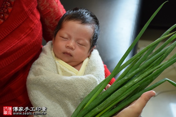 剃胎毛、滿月剃頭、嬰兒剃頭、嬰兒理髮、嬰兒剃髮、嬰兒剃胎毛、嬰兒滿月剃頭、寶寶剃頭、剃胎毛儀式、剃胎毛吉祥話、滿月剃頭儀式、滿月剃頭吉祥話、寶寶剃胎毛、寶寶滿月剃頭理髮、 新北三重區剃胎毛、新北三重區滿月剃頭、 新北三重區嬰兒剃頭剃胎毛、新北三重區嬰兒理髮、新北三重區嬰兒剃髮、林寶寶(新北三重區到府嬰兒寶寶滿月剃頭理髮、免費到府嬰兒剃胎毛儀式吉祥話)。到府剃頭剃胎毛主持、專業拍照、DVD光碟、證書。★購買「臍帶章、肚臍章、胎毛筆刷印章」贈送：剃頭、收涎、抓周，三選一。2017.01.11  照片12