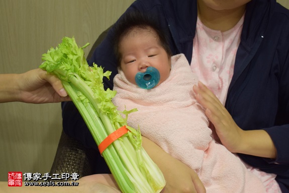 剃胎毛、滿月剃頭、嬰兒剃頭、嬰兒理髮、嬰兒剃髮、嬰兒剃胎毛、嬰兒滿月剃頭、寶寶剃頭、剃胎毛儀式、剃胎毛吉祥話、滿月剃頭儀式、滿月剃頭吉祥話、寶寶剃胎毛、寶寶滿月剃頭理髮、 新北市板橋地區剃胎毛、新北市板橋地區滿月剃頭、新北市板橋地區嬰兒剃頭剃胎毛、新北市板橋地區嬰兒理髮、新北市嬰兒剃髮、 朱寶寶(新北板橋區到府嬰兒寶寶滿月剃頭理髮、免費到府嬰兒剃胎毛儀式吉祥話)。到府剃頭剃胎毛主持、專業拍照、DVD光碟、證書。★購買「臍帶章、肚臍章、胎毛筆刷印章」贈送：剃頭、收涎、抓周，三選一。2017.09.02照片11