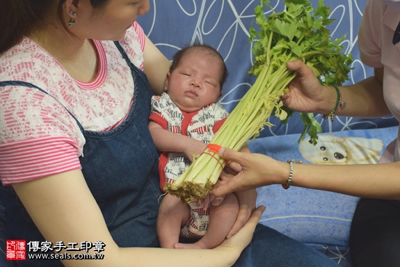 剃胎毛、滿月剃頭、嬰兒剃頭、嬰兒理髮、嬰兒剃髮、嬰兒剃胎毛、嬰兒滿月剃頭、寶寶剃頭、剃胎毛儀式、剃胎毛吉祥話、滿月剃頭儀式、滿月剃頭吉祥話、寶寶剃胎毛、寶寶滿月剃頭理髮、 台北文山區剃胎毛、台北文山區滿月剃頭、 台北文山區嬰兒剃頭剃胎毛、台北文山區嬰兒理髮、台北文山區嬰兒剃髮、周寶寶(台北文山區到府嬰兒寶寶滿月剃頭理髮、免費到府嬰兒剃胎毛儀式吉祥話)。到府剃頭剃胎毛主持、專業拍照、DVD光碟、證書。★購買「臍帶章、肚臍章、胎毛筆刷印章」贈送：剃頭、收涎、抓周，三選一。2017.06.01  照片12