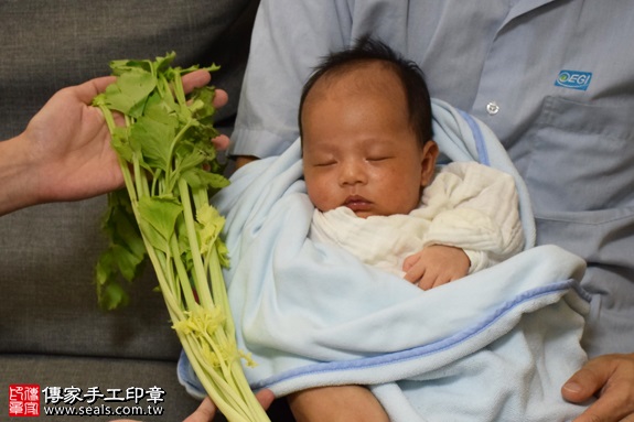 剃胎毛、滿月剃頭、嬰兒剃頭、嬰兒理髮、嬰兒剃髮、嬰兒剃胎毛、嬰兒滿月剃頭、寶寶剃頭、剃胎毛儀式、剃胎毛吉祥話、滿月剃頭儀式、滿月剃頭吉祥話、寶寶剃胎毛、寶寶滿月剃頭理髮、 桃園中壢區剃胎毛、桃園中壢區滿月剃頭、 桃園中壢區嬰兒剃頭剃胎毛、桃園中壢區嬰兒理髮、桃園中壢區嬰兒剃髮、羅寶寶(桃園中壢區到府嬰兒寶寶滿月剃頭理髮、免費到府嬰兒剃胎毛儀式吉祥話)。到府剃頭剃胎毛主持、專業拍照、DVD光碟、證書。★購買「臍帶章、肚臍章、胎毛筆刷印章」贈送：剃頭、收涎、抓周，三選一。2016.11.24  照片7