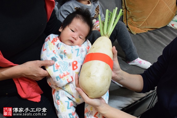 剃胎毛、滿月剃頭、嬰兒剃頭、嬰兒理髮、嬰兒剃髮、嬰兒剃胎毛、嬰兒滿月剃頭、寶寶剃頭、剃胎毛儀式、剃胎毛吉祥話、滿月剃頭儀式、滿月剃頭吉祥話、寶寶剃胎毛、寶寶滿月剃頭理髮、 新北樹林區剃胎毛、新北樹林區滿月剃頭、 新北樹林區嬰兒剃頭剃胎毛、新北樹林區嬰兒理髮、新北樹林區嬰兒剃髮、徐寶寶(新北樹林區到府嬰兒寶寶滿月剃頭理髮、免費到府嬰兒剃胎毛儀式吉祥話)。到府剃頭剃胎毛主持、專業拍照、DVD光碟、證書。★購買「臍帶章、肚臍章、胎毛筆刷印章」贈送：剃頭、收涎、抓周，三選一。2017.01.10  照片13