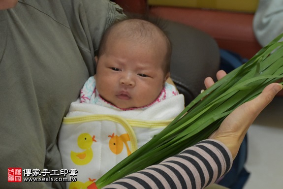 剃胎毛、滿月剃頭、嬰兒剃頭、嬰兒理髮、嬰兒剃髮、嬰兒剃胎毛、嬰兒滿月剃頭、寶寶剃頭、剃胎毛儀式、剃胎毛吉祥話、滿月剃頭儀式、滿月剃頭吉祥話、寶寶剃胎毛、寶寶滿月剃頭理髮、 新竹縣湖口地區剃胎毛、新竹縣湖口地區滿月剃頭、新竹縣湖口地區嬰兒剃頭剃胎毛、新竹縣湖口地區嬰兒理髮新竹縣嬰兒剃髮、林寶寶(新竹湖口鄉到府嬰兒寶寶滿月剃頭理髮、免費到府嬰兒剃胎毛儀式吉祥話)。到府剃頭剃胎毛主持、專業拍照、DVD光碟、證書。★購買「臍帶章、肚臍章、胎毛筆刷印章」贈送：剃頭、收涎、抓周，三選一。2017.12.22照片10