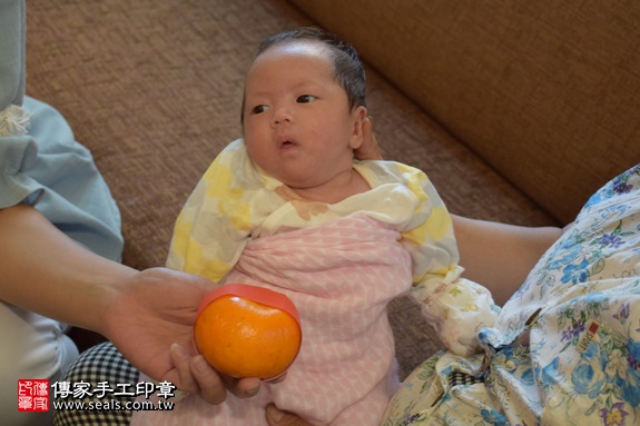 剃胎毛、滿月剃頭、嬰兒剃頭、嬰兒理髮、嬰兒剃髮、嬰兒剃胎毛、嬰兒滿月剃頭、寶寶剃頭、剃胎毛儀式、剃胎毛吉祥話、滿月剃頭儀式、滿月剃頭吉祥話、寶寶剃胎毛、寶寶滿月剃頭理髮、 新北市北投地區剃胎毛、新北市北投地區滿月剃頭、新北市北投地區嬰兒剃頭剃胎毛、新北市北投地區嬰兒理髮、新北市嬰兒剃髮、蘇寶寶(新北北投區到府嬰兒寶寶滿月剃頭理髮、免費到府嬰兒剃胎毛儀式吉祥話)。到府剃頭剃胎毛主持、專業拍照、DVD光碟、證書。★購買「臍帶章、肚臍章、胎毛筆刷印章」贈送：剃頭、收涎、抓周，三選一。2017.09.18照片13