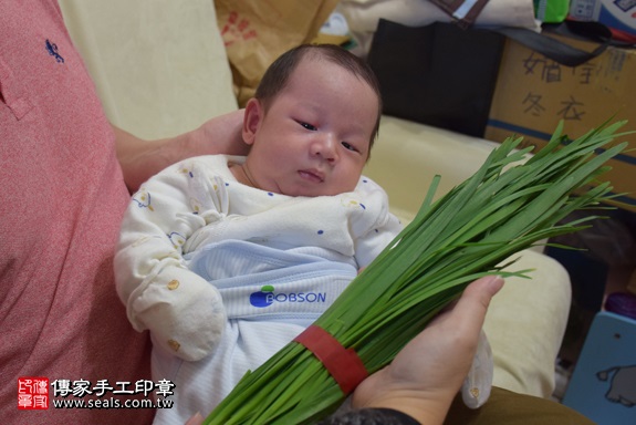 剃胎毛、滿月剃頭、嬰兒剃頭、嬰兒理髮、嬰兒剃髮、嬰兒剃胎毛、嬰兒滿月剃頭、寶寶剃頭、剃胎毛儀式、剃胎毛吉祥話、滿月剃頭儀式、滿月剃頭吉祥話、寶寶剃胎毛、寶寶滿月剃頭理髮、 台北市內湖地區剃胎毛、台北市內湖地區滿月剃頭、台北市內湖地區嬰兒剃頭剃胎毛、台北市內湖地區嬰兒理髮台北市嬰兒剃髮、張寶寶(台北內湖區到府嬰兒寶寶滿月剃頭理髮、免費到府嬰兒剃胎毛儀式吉祥話)。到府剃頭剃胎毛主持、專業拍照、DVD光碟、證書。★購買「臍帶章、肚臍章、胎毛筆刷印章」贈送：剃頭、收涎、抓周，三選一。2017.12.20照片12