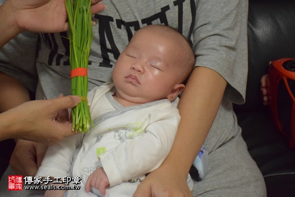 剃胎毛、滿月剃頭、嬰兒剃頭、嬰兒理髮、嬰兒剃髮、嬰兒剃胎毛、嬰兒滿月剃頭、寶寶剃頭、剃胎毛儀式、剃胎毛吉祥話、滿月剃頭儀式、滿月剃頭吉祥話、寶寶剃胎毛、寶寶滿月剃頭理髮、 新北市中和地區剃胎毛、新北市中和地區滿月剃頭、新北市中和地區嬰兒剃頭剃胎毛、新北市中和地區嬰兒理髮、新北市嬰兒剃髮、陳寶寶(新北中和區到府嬰兒寶寶滿月剃頭理髮、免費到府嬰兒剃胎毛儀式吉祥話)。到府剃頭剃胎毛主持、專業拍照、DVD光碟、證書。★購買「臍帶章、肚臍章、胎毛筆刷印章」贈送：剃頭、收涎、抓周，三選一。2017.09.06照片10