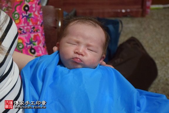 剃胎毛、滿月剃頭、嬰兒剃頭、嬰兒理髮、嬰兒剃髮、嬰兒剃胎毛、嬰兒滿月剃頭、寶寶剃頭、剃胎毛儀式、剃胎毛吉祥話、滿月剃頭儀式、滿月剃頭吉祥話、寶寶剃胎毛、寶寶滿月剃頭理髮、 新北市永和地區剃胎毛、新北市永和地區滿月剃頭、新北市永和地區嬰兒剃頭剃胎毛、新北市永和地區嬰兒理髮、新北市嬰兒剃髮、蘇寶寶(新北永和區)到府嬰兒寶寶滿月剃頭理髮、免費到府嬰兒剃胎毛儀式吉祥話)。到府剃頭剃胎毛主持、專業拍照、DVD光碟、證書。★購買「臍帶章、肚臍章、胎毛筆刷印章」贈送：剃頭、收涎、抓周，三選一。2017.11.18照片16
