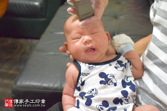 剃胎毛、滿月剃頭、嬰兒剃頭、嬰兒理髮、嬰兒剃髮、嬰兒剃胎毛、嬰兒滿月剃頭、寶寶剃頭、剃胎毛儀式、剃胎毛吉祥話、滿月剃頭儀式、滿月剃頭吉祥話、寶寶剃胎毛、寶寶滿月剃頭理髮、 新北市中和地區剃胎毛、新北市中和地區滿月剃頭、新北市中和地區嬰兒剃頭剃胎毛、新北市中和地區嬰兒理髮、新北市嬰兒剃髮、林寶寶(新北中和區到府嬰兒寶寶滿月剃頭理髮、免費到府嬰兒剃胎毛儀式吉祥話)。到府剃頭剃胎毛主持、專業拍照、DVD光碟、證書。★購買「臍帶章、肚臍章、胎毛筆刷印章」贈送：剃頭、收涎、抓周，三選一。2017.09.10照片15