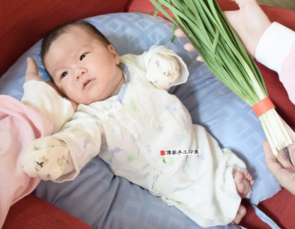 山並寶寶(台北士林區到府嬰兒寶寶滿月剃頭理髮、免費到府嬰兒剃胎毛儀式吉祥話)。到府剃頭剃胎毛主持、專業拍照、DVD光碟、證書。★購買「臍帶章、肚臍章、胎毛筆刷印章」贈送：剃頭、收涎、抓周，三選一。2015.11.12 照片10