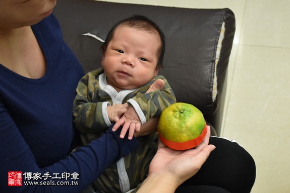 剃胎毛、滿月剃頭、嬰兒剃頭、嬰兒理髮、嬰兒剃髮、嬰兒剃胎毛、嬰兒滿月剃頭、寶寶剃頭、剃胎毛儀式、剃胎毛吉祥話、滿月剃頭儀式、滿月剃頭吉祥話、寶寶剃胎毛、寶寶滿月剃頭理髮、 新北市三重地區剃胎毛、新北市三重地區滿月剃頭、新北市三重地區嬰兒剃頭剃胎毛、新北市三重地區嬰兒理髮、新北市嬰兒剃髮、沈寶寶(新北三重區到府嬰兒寶寶滿月剃頭理髮、免費到府嬰兒剃胎毛儀式吉祥話)。到府剃頭剃胎毛主持、專業拍照、DVD光碟、證書。★購買「臍帶章、肚臍章、胎毛筆刷印章」贈送：剃頭、收涎、抓周，三選一。2017.11.17照片9