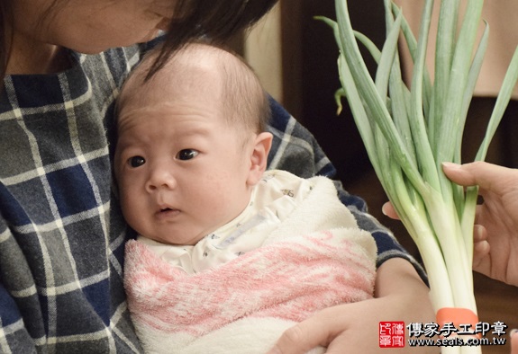 剃胎毛、滿月剃頭、嬰兒剃頭、嬰兒理髮、嬰兒剃髮、嬰兒剃胎毛、嬰兒滿月剃頭、寶寶剃頭、剃胎毛儀式、剃胎毛吉祥話、滿月剃頭儀式、滿月剃頭吉祥話、寶寶剃胎毛、寶寶滿月剃頭理髮、 新北新店區剃胎毛、新北新店區滿月剃頭、 新北新店區嬰兒剃頭剃胎毛、新北新店區嬰兒理髮、新北新店區嬰兒剃髮、劉寶寶(新北新店區到府嬰兒寶寶滿月剃頭理髮、免費到府嬰兒剃胎毛儀式吉祥話)。到府剃頭剃胎毛主持、專業拍照、DVD光碟、證書。★購買「臍帶章、肚臍章、胎毛筆刷印章」贈送：剃頭、收涎、抓周，三選一。2016.05.16  照片12