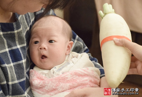 剃胎毛、滿月剃頭、嬰兒剃頭、嬰兒理髮、嬰兒剃髮、嬰兒剃胎毛、嬰兒滿月剃頭、寶寶剃頭、剃胎毛儀式、剃胎毛吉祥話、滿月剃頭儀式、滿月剃頭吉祥話、寶寶剃胎毛、寶寶滿月剃頭理髮、 新北新店區剃胎毛、新北新店區滿月剃頭、 新北新店區嬰兒剃頭剃胎毛、新北新店區嬰兒理髮、新北新店區嬰兒剃髮、劉寶寶(新北新店區到府嬰兒寶寶滿月剃頭理髮、免費到府嬰兒剃胎毛儀式吉祥話)。到府剃頭剃胎毛主持、專業拍照、DVD光碟、證書。★購買「臍帶章、肚臍章、胎毛筆刷印章」贈送：剃頭、收涎、抓周，三選一。2016.05.16  照片13
