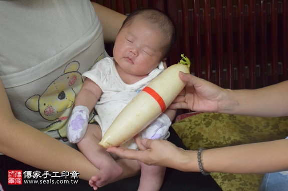 剃胎毛、滿月剃頭、嬰兒剃頭、嬰兒理髮、嬰兒剃髮、嬰兒剃胎毛、嬰兒滿月剃頭、寶寶剃頭、剃胎毛儀式、剃胎毛吉祥話、滿月剃頭儀式、滿月剃頭吉祥話、寶寶剃胎毛、寶寶滿月剃頭理髮、 新竹市東區地區剃胎毛、新竹市東區地區滿月剃頭、新竹市東區地區嬰兒剃頭剃胎毛、新竹市東區地區嬰兒理髮、新竹市嬰兒剃髮、 曾寶寶(新竹東區到府嬰兒寶寶滿月剃頭理髮、免費到府嬰兒剃胎毛儀式吉祥話)。到府剃頭剃胎毛主持、專業拍照、DVD光碟、證書。★購買「臍帶章、肚臍章、胎毛筆刷印章」贈送：剃頭、收涎、抓周，三選一。2017.08.11照片13