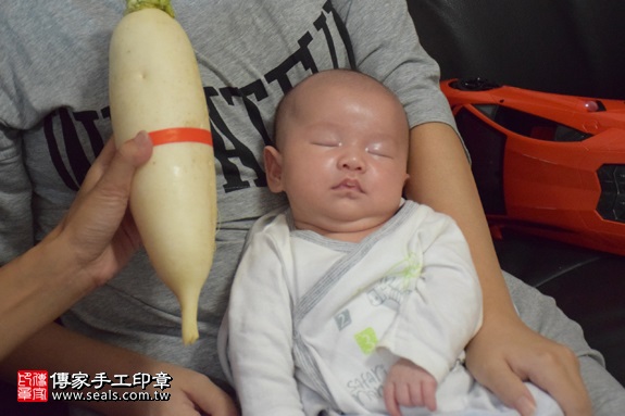 剃胎毛、滿月剃頭、嬰兒剃頭、嬰兒理髮、嬰兒剃髮、嬰兒剃胎毛、嬰兒滿月剃頭、寶寶剃頭、剃胎毛儀式、剃胎毛吉祥話、滿月剃頭儀式、滿月剃頭吉祥話、寶寶剃胎毛、寶寶滿月剃頭理髮、 新北市中和地區剃胎毛、新北市中和地區滿月剃頭、新北市中和地區嬰兒剃頭剃胎毛、新北市中和地區嬰兒理髮、新北市嬰兒剃髮、陳寶寶(新北中和區到府嬰兒寶寶滿月剃頭理髮、免費到府嬰兒剃胎毛儀式吉祥話)。到府剃頭剃胎毛主持、專業拍照、DVD光碟、證書。★購買「臍帶章、肚臍章、胎毛筆刷印章」贈送：剃頭、收涎、抓周，三選一。2017.09.06照片13