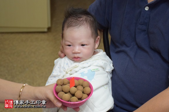 剃胎毛、滿月剃頭、嬰兒剃頭、嬰兒理髮、嬰兒剃髮、嬰兒剃胎毛、嬰兒滿月剃頭、寶寶剃頭、剃胎毛儀式、剃胎毛吉祥話、滿月剃頭儀式、滿月剃頭吉祥話、寶寶剃胎毛、寶寶滿月剃頭理髮、 新北市中和地區剃胎毛、新北市中和地區滿月剃頭、新北市中和地區嬰兒剃頭剃胎毛、新北市中和地區嬰兒理髮、新北市嬰兒剃髮、小瘦肉(新北中和區到府嬰兒寶寶滿月剃頭理髮、免費到府嬰兒剃胎毛儀式吉祥話)。到府剃頭剃胎毛主持、專業拍照、DVD光碟、證書。★購買「臍帶章、肚臍章、胎毛筆刷印章」贈送：剃頭、收涎、抓周，三選一。2017.09.23照片7