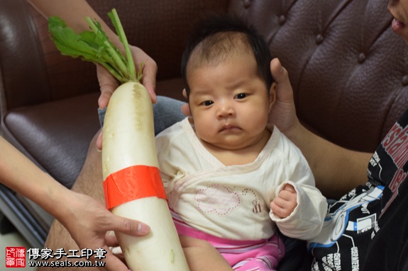 剃胎毛、滿月剃頭、嬰兒剃頭、嬰兒理髮、嬰兒剃髮、嬰兒剃胎毛、嬰兒滿月剃頭、寶寶剃頭、剃胎毛儀式、剃胎毛吉祥話、滿月剃頭儀式、滿月剃頭吉祥話、寶寶剃胎毛、寶寶滿月剃頭理髮、 台北文山區剃胎毛、台北文山區滿月剃頭、 台北文山區嬰兒剃頭剃胎毛、台北文山區嬰兒理髮、台北文山區嬰兒剃髮、高寶寶(台北文山區到府嬰兒寶寶滿月剃頭理髮、免費到府嬰兒剃胎毛儀式吉祥話)。到府剃頭剃胎毛主持、專業拍照、DVD光碟、證書。★購買「臍帶章、肚臍章、胎毛筆刷印章」贈送：剃頭、收涎、抓周，三選一。2016.11.27  照片13