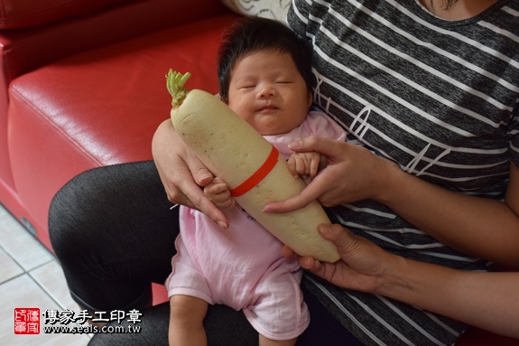 剃胎毛、滿月剃頭、嬰兒剃頭、嬰兒理髮、嬰兒剃髮、嬰兒剃胎毛、嬰兒滿月剃頭、寶寶剃頭、剃胎毛儀式、剃胎毛吉祥話、滿月剃頭儀式、滿月剃頭吉祥話、寶寶剃胎毛、寶寶滿月剃頭理髮、 新竹縣竹東地區剃胎毛、新竹縣竹東地區滿月剃頭、新竹縣竹東地區嬰兒剃頭剃胎毛、新竹縣竹東地區嬰兒理髮、新竹縣嬰兒剃髮、黃寶寶(新竹竹東鎮區到府嬰兒寶寶滿月剃頭理髮、免費到府嬰兒剃胎毛儀式吉祥話)。到府剃頭剃胎毛主持、專業拍照、DVD光碟、證書。★購買「臍帶章、肚臍章、胎毛筆刷印章」贈送：剃頭、收涎、抓周，三選一。2017.09.09照片13