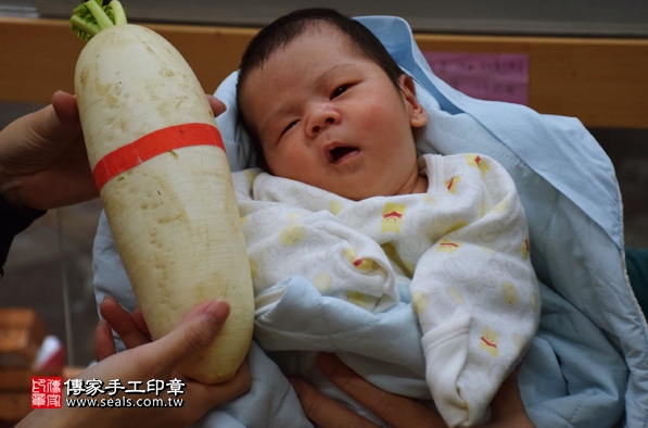 剃胎毛、滿月剃頭、嬰兒剃頭、嬰兒理髮、嬰兒剃髮、嬰兒剃胎毛、嬰兒滿月剃頭、寶寶剃頭、剃胎毛儀式、剃胎毛吉祥話、滿月剃頭儀式、滿月剃頭吉祥話、寶寶剃胎毛、寶寶滿月剃頭理髮、新北永和區剃胎毛、新北永和區滿月剃頭、新北永和區嬰兒剃頭剃胎毛、新北永和區嬰兒理髮、新北永和區嬰兒剃髮、張寶寶(新北永和區嬰兒寶寶滿月剃頭理髮、免費嬰兒剃胎毛儀式吉祥話)。中國風會場，爸媽寶貝免費穿「日中韓」古裝禮服。專業拍照、DVD光碟、證書。★購買「臍帶章、肚臍章、胎毛筆刷印章」贈送：剃頭、收涎、抓周，三選一。2016.02.21 照片13